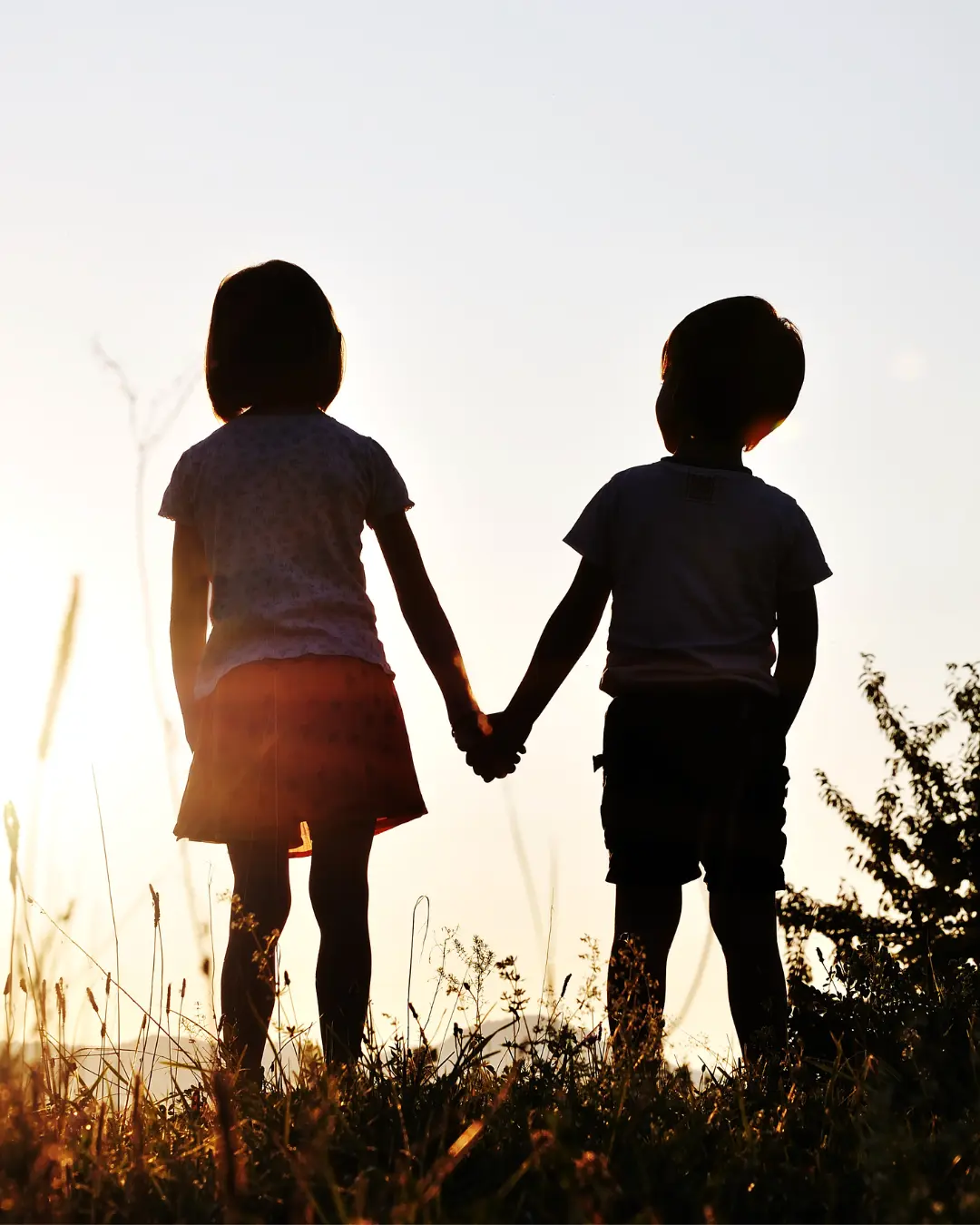 Family Law - Alan McGee & Co.